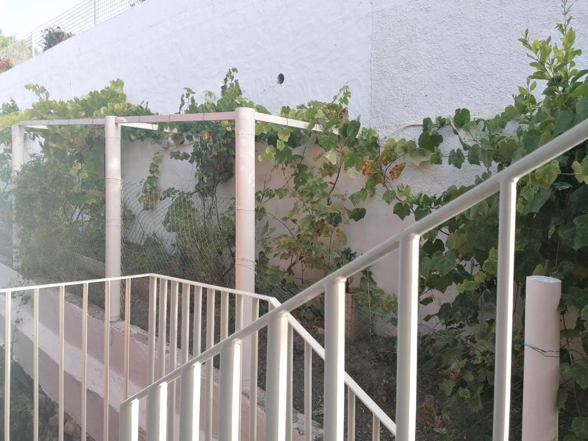 Apartamento Lemmon Tree Santa Brígida Zewnętrze zdjęcie
