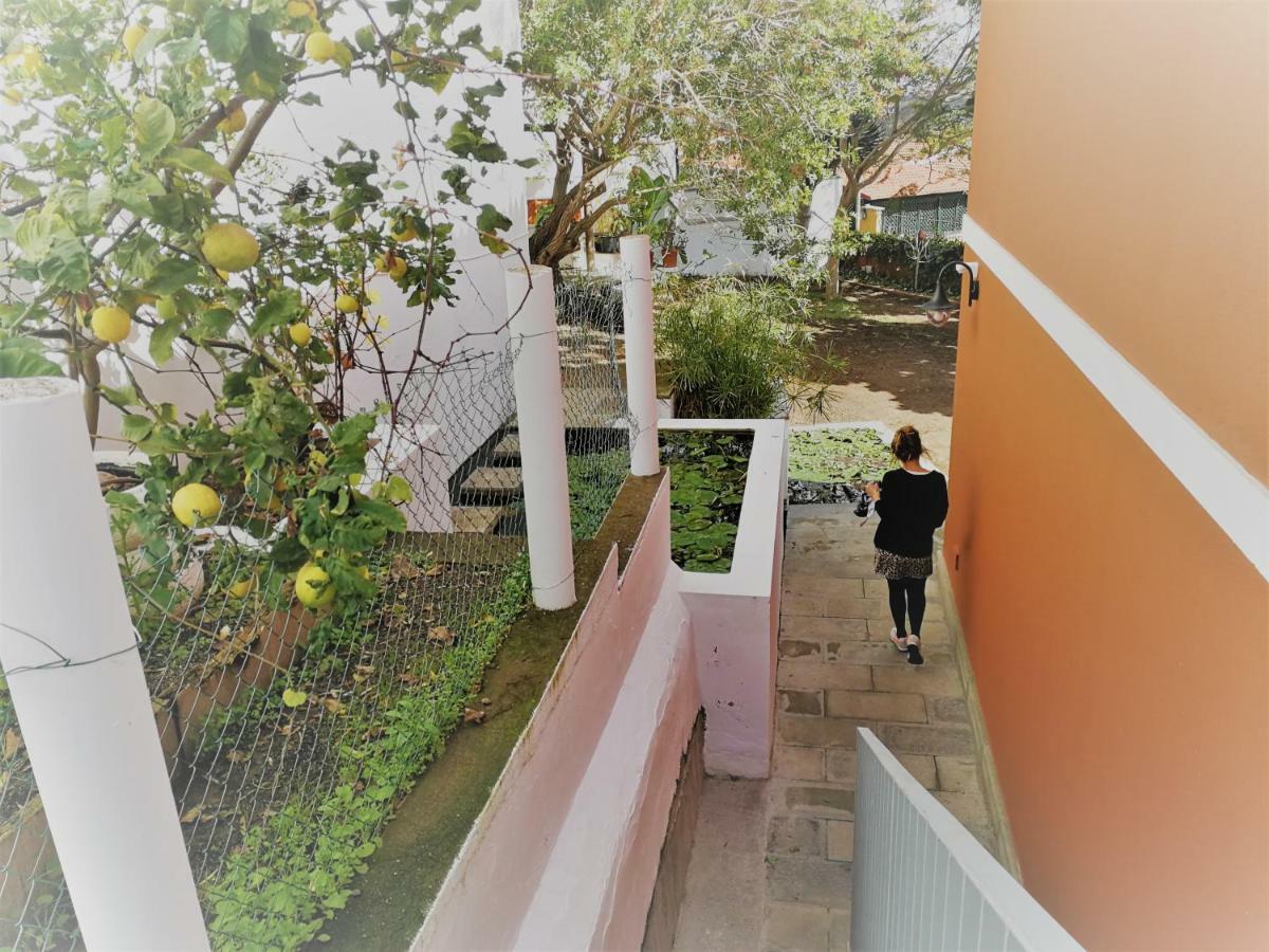 Apartamento Lemmon Tree Santa Brígida Zewnętrze zdjęcie